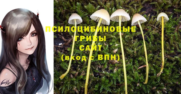 кокс Кулебаки