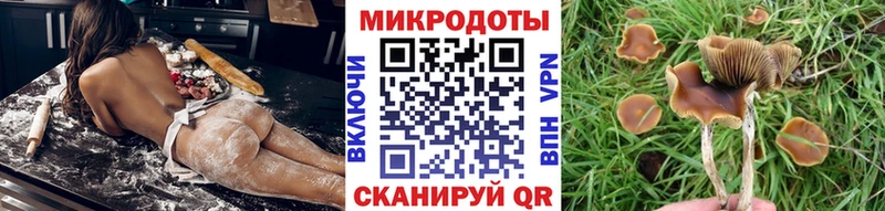 Купить закладки  Боготол  Псилоцибиновые грибы Magic Shrooms 